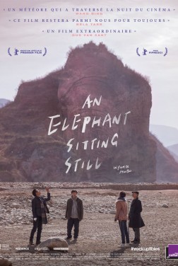 An Elephant Sitting Still (2019)