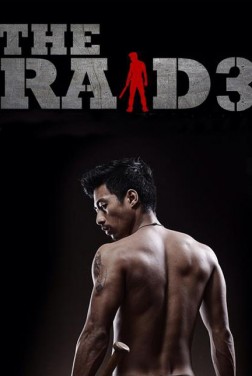 The Raid 3 (2020)