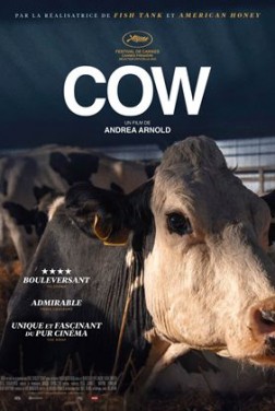 Cow (2022)